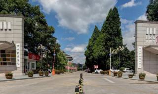 丽水学院一共有多少人 浙江丽水职业学院