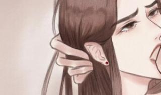 二哈和他的白猫师尊第一章是什么题目 二哈和他的白猫师尊1